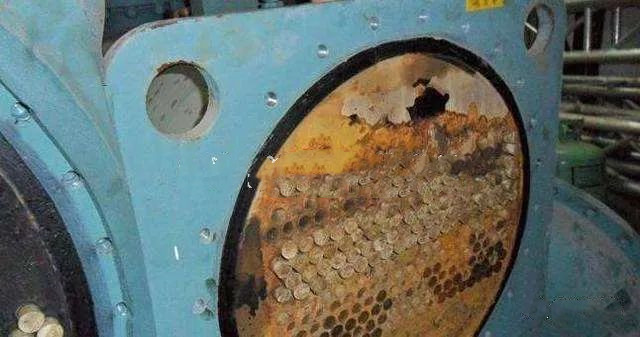 1702429130856779.jpg 1.jpg