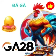 qh8 Game 01
